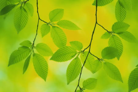 ���x�݁@�{�Á@�֎s�@�ڍ��@